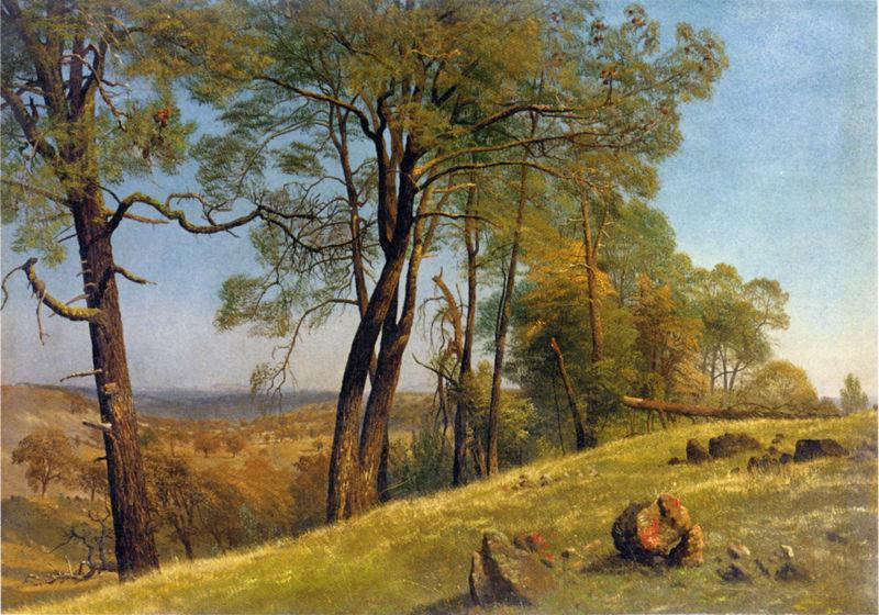 Albert Bierstadt Landscape, Rockland County, California oil painting picture